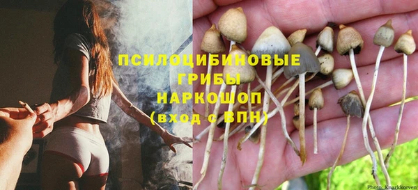 спиды Нефтекумск