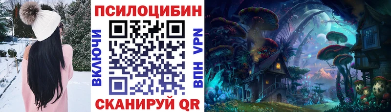 Псилоцибиновые грибы Psilocybe  где продают наркотики  Барыш 